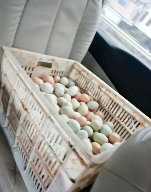 渝北搭台承销,帮助滞销扶贫农副产品 找婆家