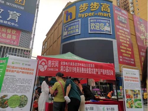 洞口县 启动电商强力引擎 加快脱贫攻坚步伐