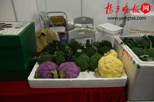 响水十个名特优农副产品亮相上海