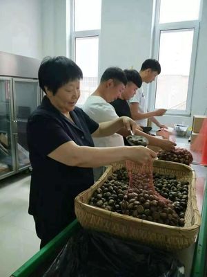 遵化电商达人入围“中国网事,感动河北”评选!快来给她投票吧!