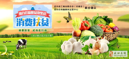 武功县 万企帮万村 消费扶贫行动倡议书