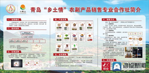 灵珠山街道乡村振兴工作队 为乡村振兴赋能 推动乡村全面振兴