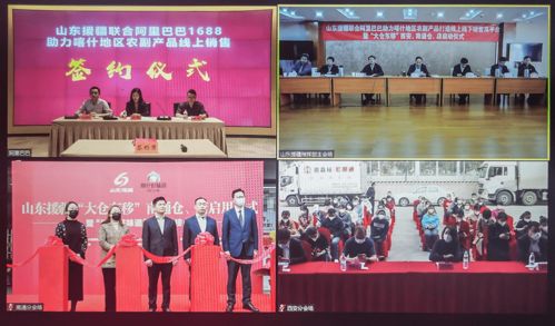 山东援疆携手阿里巴巴助力喀什地区农副产品打造线上线下销售双平台