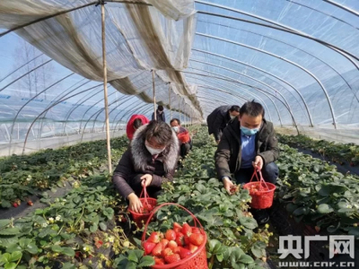 信阳光山县:南向店乡政企联手确保农副产品销售无忧