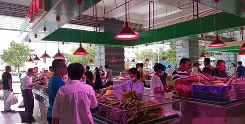 县域新闻 海南陵水 菜篮子 平价惠民专区乡镇农副产品集市开市