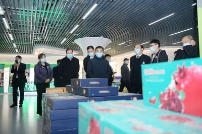恭贺!北京新发地(吴桥)农副产品智慧物流园暨城市安全保供仓项目正式签约落户吴桥!