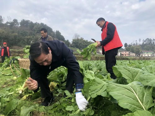 无标题
